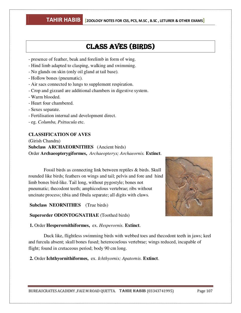 Animal diversity (Zoology) notes