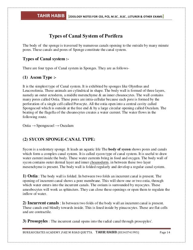 essay exam writing hindi