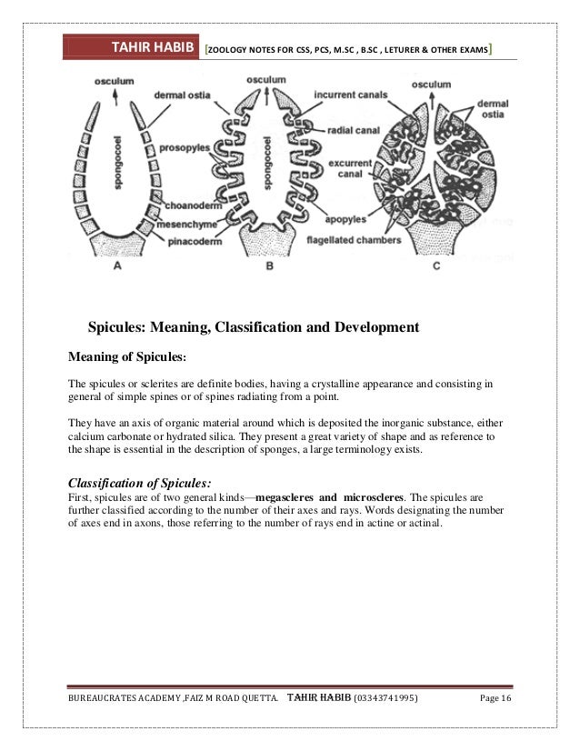 Pdf Zoology Notes Zoology Pdf Pdfprof Com