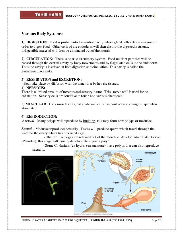 Animal diversity (Zoology) notes
