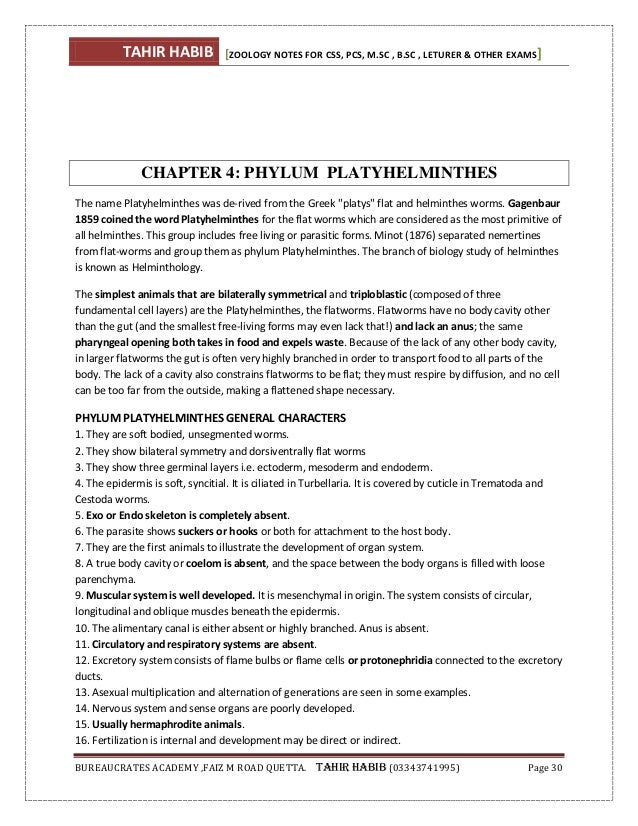 us essay writing service org