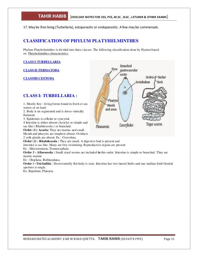 CLASSNOTES: Biology Notes For Class 11 Zoology