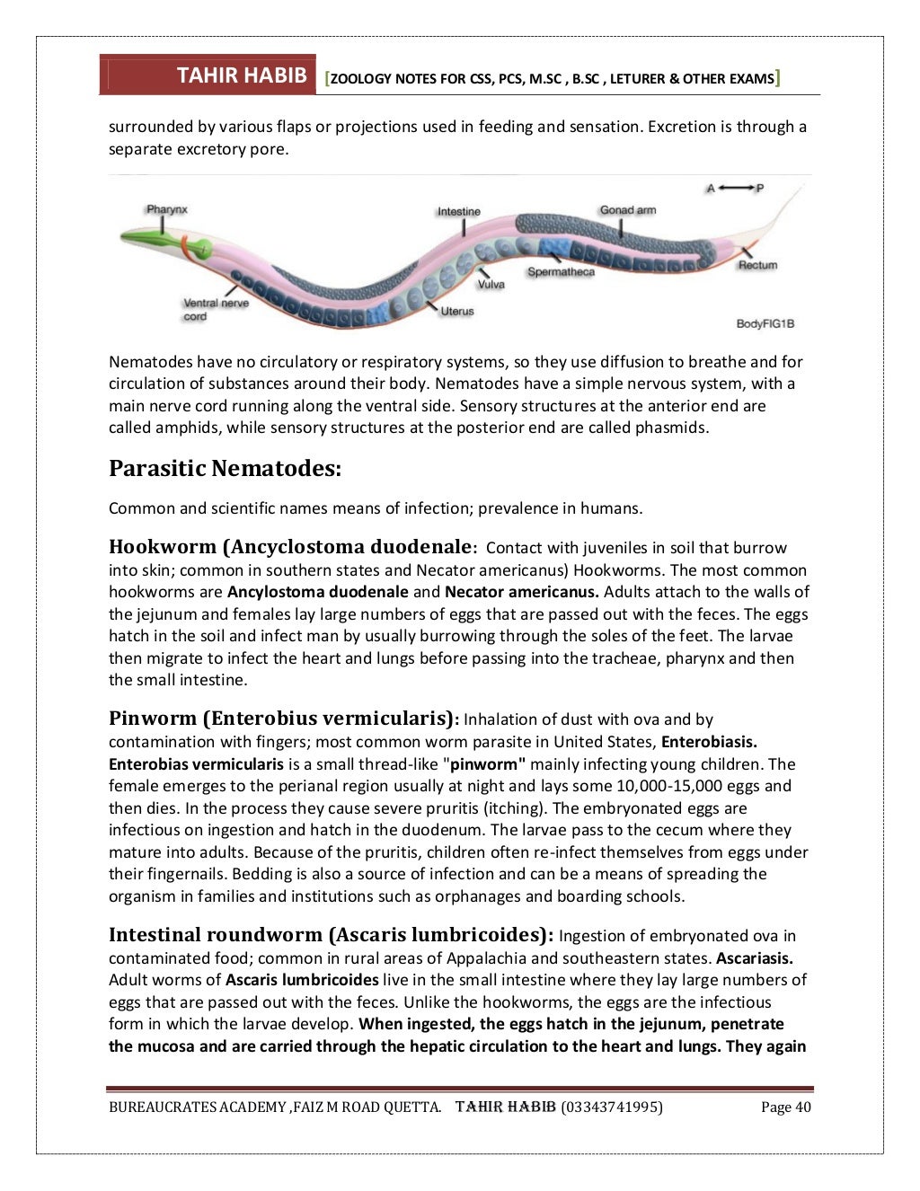 Animal diversity (Zoology) notes
