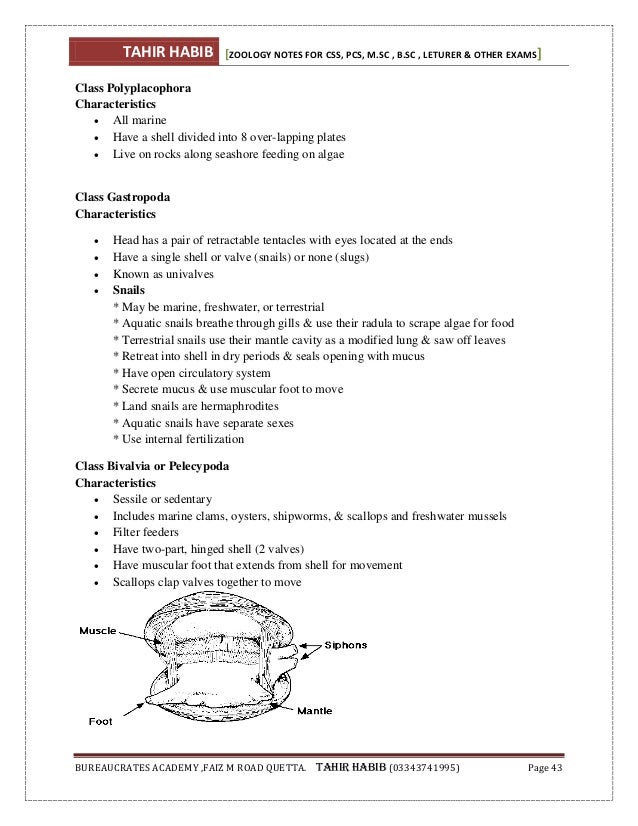 diversity notes Literature notes test prep study guides these people fail to acknowledge the presence of cultural diversity, or the presence of multiple cultures and cultural . diversity notes Literature notes test prep study guides these people fail to acknowledge the presence of cultural diversity, or the presence of multiple cultures and cultural .