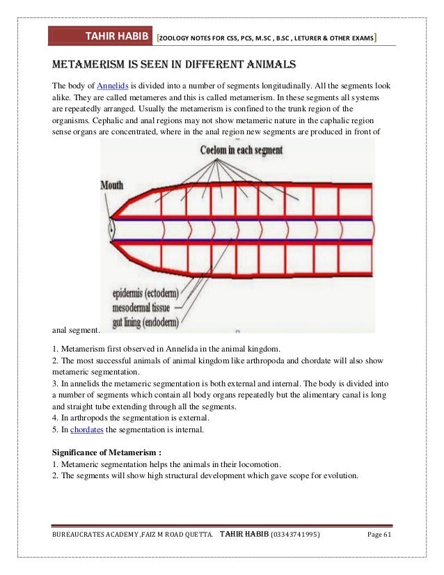 Animal diversity (Zoology) notes