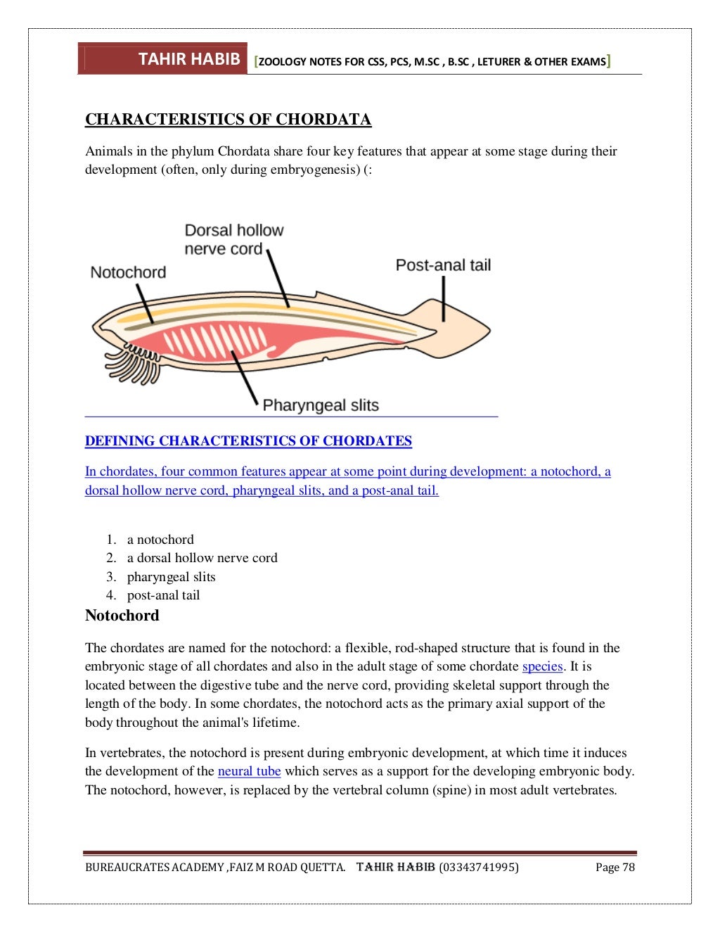 Animal diversity (Zoology) notes