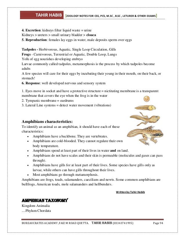 Animal diversity (Zoology) notes