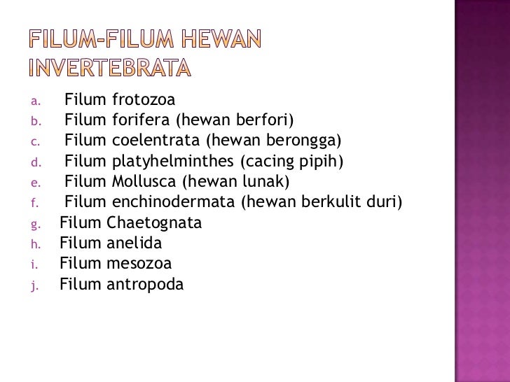 Animal diversity presentation