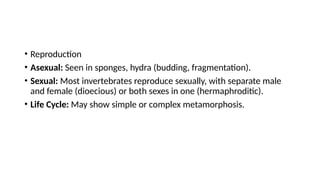 Animal diversity unit 1.pptx shows porifera | PPTX