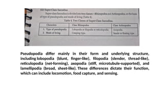 Animal diversity unit 1.pptx shows porifera | PPTX