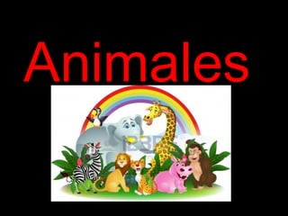 Animales

 