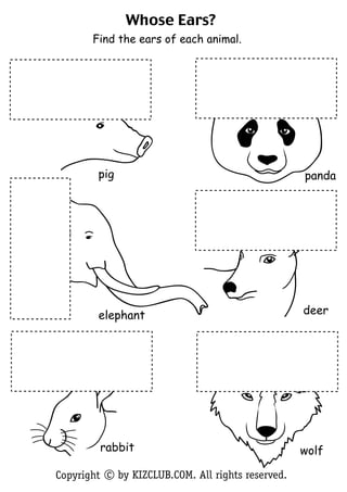 Whose Ears?
       Find the ears of each animal.




        pig                                        panda




                                                   deer
        elephant




         rabbit                                    wolf

Copyright c by KIZCLUB.COM. All rights reserved.