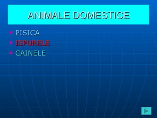 ANIMALE DOMESTICE ,[object Object],[object Object],[object Object]