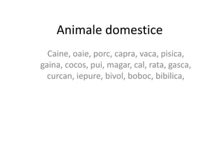 Animale domestice
Caine, oaie, porc, capra, vaca, pisica,
gaina, cocos, pui, magar, cal, rata, gasca,
curcan, iepure, bivol, boboc, bibilica,
 