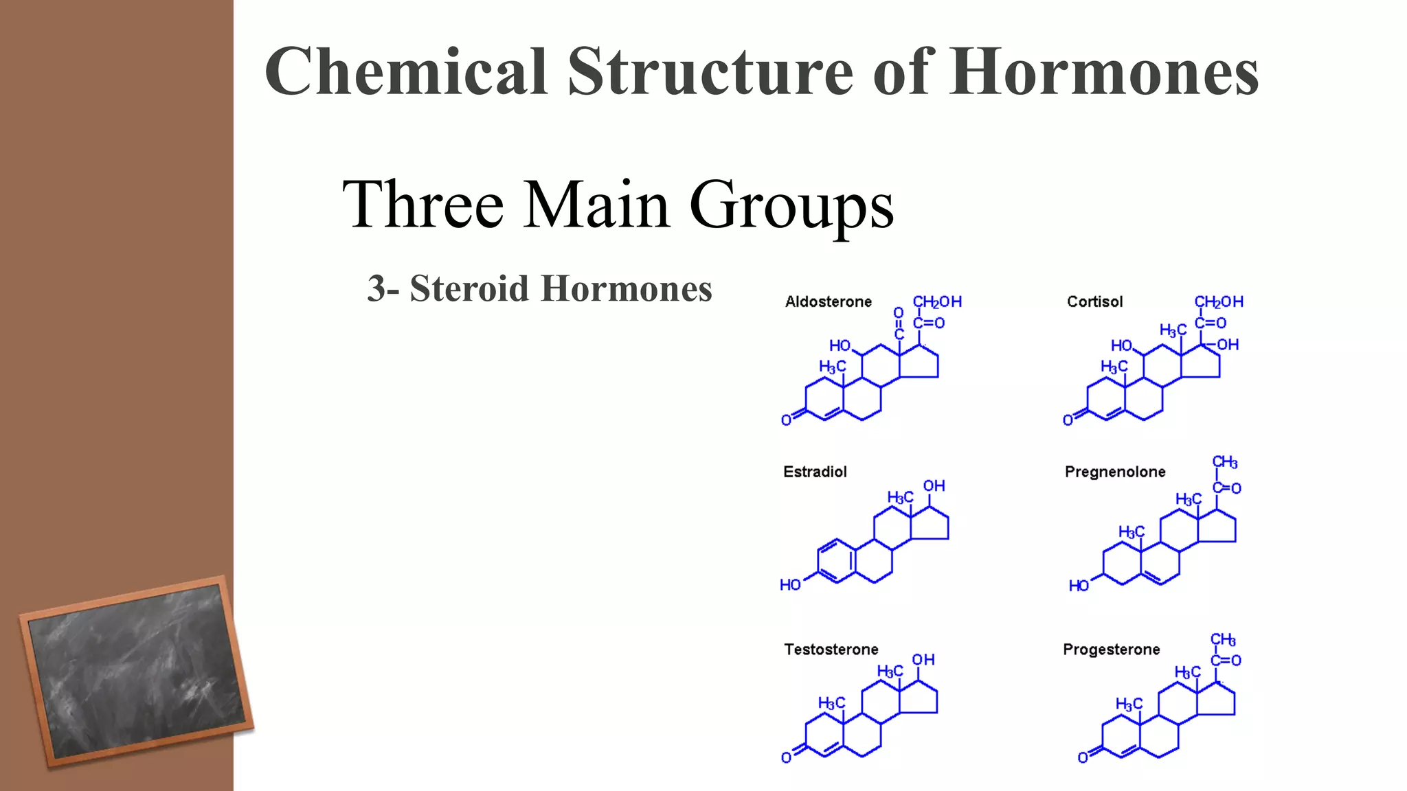 Chemical Structure of Hormones
Three Main Groups
3- Steroid Hormones
 