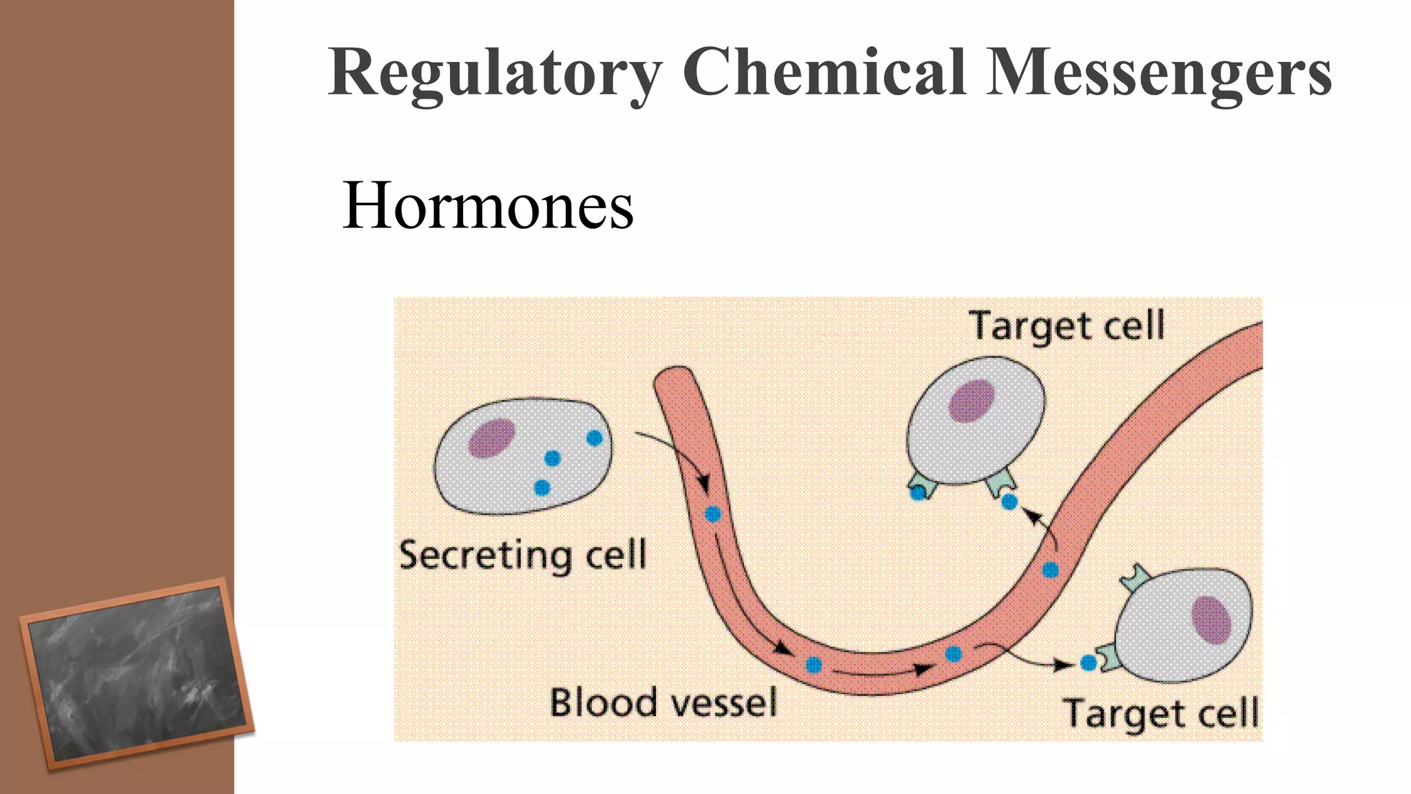 Regulatory Chemical Messengers
Hormones
 