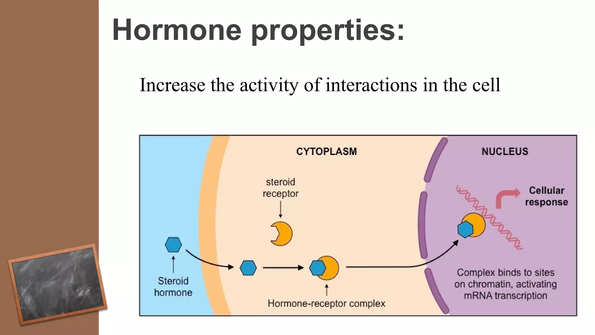 Hormone properties:
Increase the activity of interactions in the cell
 