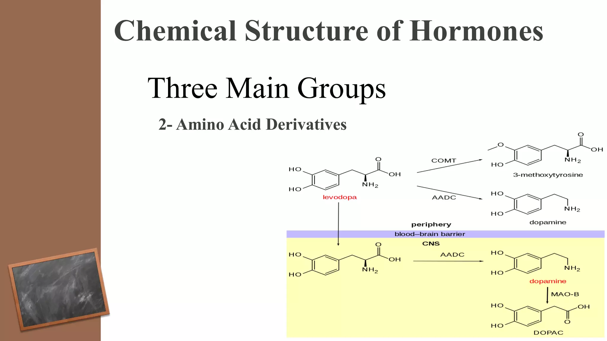 Chemical Structure of Hormones
Three Main Groups
2- Amino Acid Derivatives
 