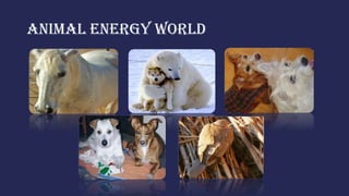 ANIMAL ENERGY WORLD
Conceive Develop Test
Implement Analyze
 