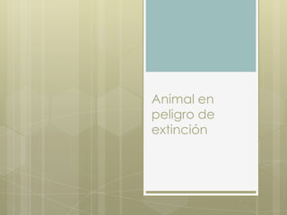 Animal en
peligro de
extinción
 