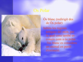 Os Polar ,[object Object]