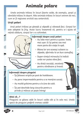 Page 1 of 8
Animale polare
Unele animale trăiesc în locuri foarte calde, de exemplu, șerpii și
cămilele trăiesc în deșert. Alte animale trăiesc în locuri extrem de reci,
cum ar fi regiunea arctică sau antarctică.
Urșii polari
Urșii polari trăiesc pe gheață și zăpadă și vânează foci. Corpul lor
este adaptat la frig. Acest lucru înseamnă că, pentru a-i ajuta să
rețină căldura, corpul lor s-a schimbat.
Informații despre urșii polari
• Au labe mari pentru a putea înota
mai ușor. Ei își petrec cea mai
mare parte din viața în apă.
• Blana lor are aceeași culoare cu
zăpada, oferindu-le un bun camuflaj.
• Super-simțul mirosului le indică
unde vor putea vâna foci.
• Au dinții ascuțiți, excelenți
pentru vânătoare și hrană.
Informații despre pinguini
• Își folosesc aripile pe post de înotătoare.
• Au pene impermeabile pentru a se menține uscați.
• Au multă grăsime pentru a le ține de cald.
• Își pot deschide larg ciocurile pentru a
prinde și mânca un pește întreg!
Știai că…?
Pinguinii se găsesc atât în locuri calde cât și în cele reci. Unele
specii de pinguini preferă vremea caldă!
 