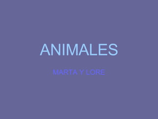 ANIMALES MARTA Y LORE 