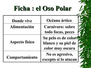 Ficha : el Oso Polar Su pelo es de color blanco y su piel de color muy oscura Aspecto físico No es agresivo, excepto si lo atacan Comportamiento Carnívoro: sobre todo focas, peces Alimentación Océano ártico   Donde vive 