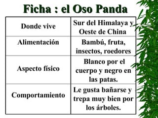 Ficha : el Oso Panda Blanco por el cuerpo y negro en las patas. Aspecto físico Le gusta bañarse y  trepa muy bien por los árboles. Comportamiento Bambú, fruta, insectos, roedores Alimentación Sur del Himalaya y Oeste de China   Donde vive 