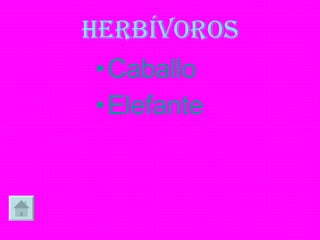 HERBÍVOROS Caballo Elefante 