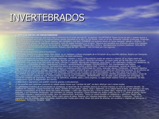 INVERTEBRADOS CLASIFICACIÓN DE LOS INVERTEBRADOS PORÍFEROS Animales marinos, que viven fijos e inmóviles en el fondo del mar. Ej:  la esponja. CELENTEREOS Tienen forma de saco y poseen brazos o tentáculos alrededor de la boca. La mayoría tienen células urticantes en la piel y en los brazos, viven en el mar, formando colonias numerosas. Presentan dos formas: forma de pólipo y la  forma medusa, tipo campana y vive libre. GUSANOS Los gusanos tienen el cuerpo alargado, blando y cilíndrico, no tienen esqueleto, carecen de apéndices articulados, viven en suelos húmedos o en el agua.  Algunos son parásitos que producen graves enfermedades. La más común es la lombriz de tierra. Se dividen en: Anélidos  (Sanguijuela), Platelmintos (Tenia) y  Nematelmintos (Lombriz intestinal). MOLUSCOS  Son invertebrados fundamentalmente acuáticos. Molusco viene del latín "blando". Está formado por tres regiones:  a) La cabeza anterior.  b) Un pie ventral que sirve para la locomoción.  c) Una masa visceral muy desarrollada. Esta última  es un repliegue cutáneo encargado de la formación de la conchilla calcárea. Respira por branquias, por un pulmón,  por la epidermis o por una combinación de estos elementos.  El aparato digestivo es completo (boca, esófago, estómago, intestino y ano). La fecundación puede ser externa o interna, en su mayor parte son ovíparos. La mayoría de los moluscos son marinos; algunos son de agua dulce y  otros son terrestres. La mayor parte son de vida libre y se arrastran lentamente; unos pocos viven fijos sobre las rocas, conchas o maderas; algunos son minadores; otros flotan, y los calamares y pulpos son nadadores. Se clasifican en: Cefalópodos (Pulpos), Gastrópodos (Caracol), Lamelimbraquios (Almejas). EQUINODERMOS  Son invertebrados que habitan exclusivamente en ambientes marinos. Equinodermos deriva de echinos (erizo) y derma (piel). Cuerpo no segmentado, carecen de cabeza. Los equinodermos son los únicos invertebrados que poseen un sistema acuífero conformado por tubos, vesículas, placas y tentáculos.  El aparato digestivo está  formado por una boca, esófago, estómago e intestino y pueden carecer de ano. La respiración se realiza por diminutas branquias. En el extremo de los brazos se encuentran también los tentáculos olfatorios. Pueden vivir en la costa y en las profundidades; en su mayor parte son de vida libre, permanecen fijas pero no forman colonias.  Los equinodermos comprenden estrellas de mar (asteroideos), estrellas serpientes (ofiuroideos), erizos de mar , (equinoideos), pepinos de mar (hototuroideos) y lirios de mar (crinoideos).  ARTRÓPODOS  Tres de cada cuatro animales son artrópodos. Su cuerpo se compone de segmentos, lleva un par de apéndices, antenas, patas u otros órganos. La capa celular exterior forma un caparazón. De este revestimiento rígido se desprenden dos hechos:  1) apéndices y segmentos solo pueden moverse gracias a articulaciones.  2) las especies que continúan creciendo en estado adulto tienen que "cambiar de piel", es decir, efectuar una o varias mudas.  La complejidad evolutiva de los artrópodos es prodigiosa; el desarrollo de los sentidos alcanza en muchos insectos un nivel en extremo elevado.  Se clasifican en: Insectos.- Cuerpo formado por anillos, dividido en tres partes: cabeza, tórax y abdomen; en la cabeza tiene la boca, dos antenas y los ojos, simples o compuestos; en el tórax llevan seis patas articuladas y cuatro alas (algunos dos, y otros no tienen alas); respiran por unos tubos llamados tráqueas, y son terrestres. Miriápodos.- Son animales con antenas, terrestres, cuerpo formado por anillos (cada uno con 2 o 2 pares de patas), tienen respiración traqueal y experiementa mudas, pero no metamorfosis. Arácnidos.- Tienen el cuerpo dividido en cefalotórax y abdomen, llevan uñas venenosas y dos palpos junto a la bocas; tienen cuatro pares de patas. Respiran por tráqueas especiales y son terrestres. Crustáceos.- Tienen un caparazón que los protege, patas articuladas, experimentan mudas para crecer, llevan dos pares de antenas, son acuáticos y respiran por branquias.©  Edufuturo     Pichincha - Ecuador  2009  