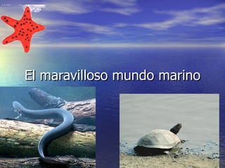 El maravilloso mundo marino 