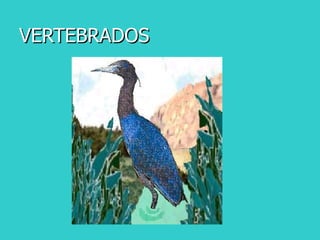 VERTEBRADOS 