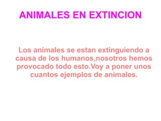 ANIMALES EN EXTINCION Los animales se estan extinguiendo a causa de los humanos,nosotros hemos provocado todo esto.Voy a poner unos cuantos ejemplos de animales. 