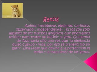 gatosAnimal inteligente, elegante, cariñoso, observador, independiente... Estos son sólo algunos de los muchos adejtivos que podríamos utilizar para tratar de definir al gato. Guillermo de Aquitania dijo una vez que "la elegancia quiso cuerpo y vida, por eso se transformó en gato". Una frase que define a la perfección el estilo y la esquisitez de los gatos.