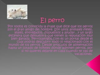 El perroPor todos es conocida la frase que dice que los perros son el gran amigo del hombre. Son unos animales fieles, leales, entregados, dispuestos a ayudar...y un largo etcétera que demuestra que tienen la reputación muy bien ganada. Perrosamigos.com es un portal desde el cual podrás descubrir todo lo relacionado con el mundo de los perros. Desde artículos de alimentación hasta un listado de hoteles dónde admiten perros, por si no quieres dejarle en casa cuando te vas de vacaciones.