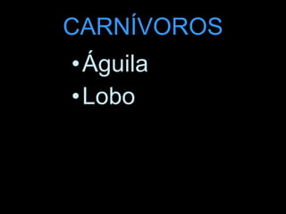 CARNÍVOROS Águila Lobo