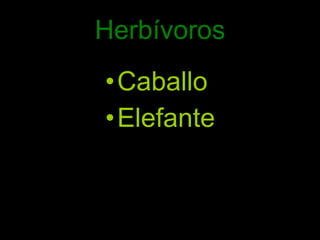 Herbívoros Caballo Elefante 