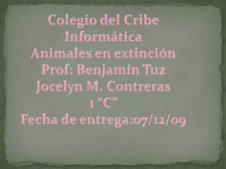 Colegio del Cribe Informática Animales en extinción Prof: Benjamín Tuz Jocelyn M. Contreras 1 “C” Fecha de entrega:07/12/09  