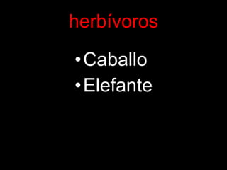 herbívoros Caballo Elefante 