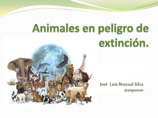 Animales en peligro de extinción. José  Luis Bruzual Silva 200910100  