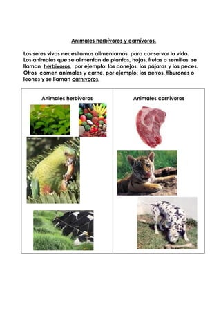 Animales herbívoros y carnívoros.

Los seres vivos necesitamos alimentarnos para conservar la vida.
Los animales que se alimentan de plantas, hojas, frutas o semillas se
llaman herbívoros, por ejemplo: los conejos, los pájaros y los peces.
Otros comen animales y carne, por ejemplo: los perros, tiburones o
leones y se llaman carnívoros.


       Animales herbívoros                 Animales carnívoros
 