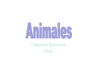 Gregorio Sánchez Díaz Animales 