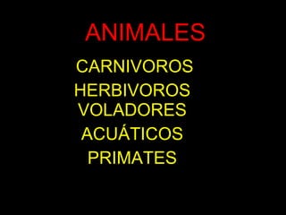 ANIMALES CARNIVOROS HERBIVOROS VOLADORES ACUÁTICOS PRIMATES 