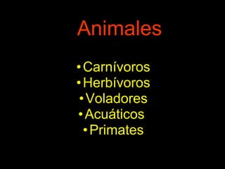 Animales Carnívoros Herbívoros Voladores Acuáticos Primates