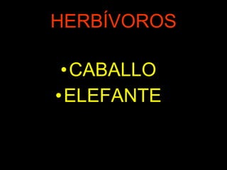 HERBÍVOROS CABALLO ELEFANTE