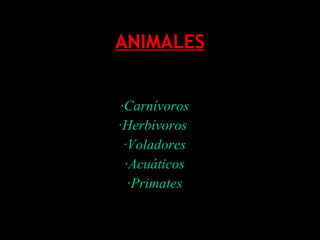 ANIMALES · Carnívoros ·Herbívoros  ·Voladores ·Acuáticos ·Primates 