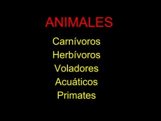 ANIMALES Carnívoros Herbívoros Voladores Acuáticos Primates 