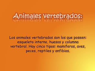 Animales vertebrados:
Los animales vertebrados son los que poseen:
esqueleto interno, huesos y columna
vertebral. Hay cinco tipos: mamíferos, aves,
peces, reptiles y anfibios.
 