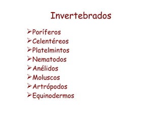 Invertebrados
➢Poríferos
➢Celentéreos
➢Platelmintos
➢Nematodos
➢Anélidos
➢Moluscos
➢Artrópodos
➢Equinodermos
 